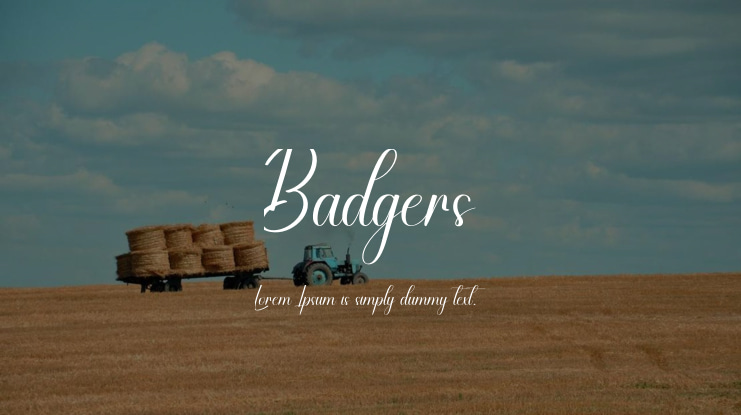 Badgers Font