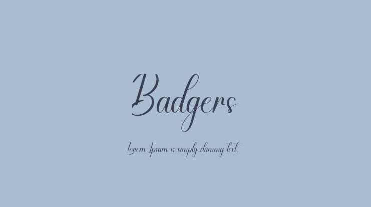 Badgers Font