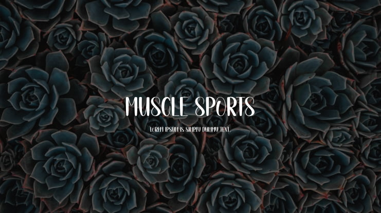 Muscle Sports Font