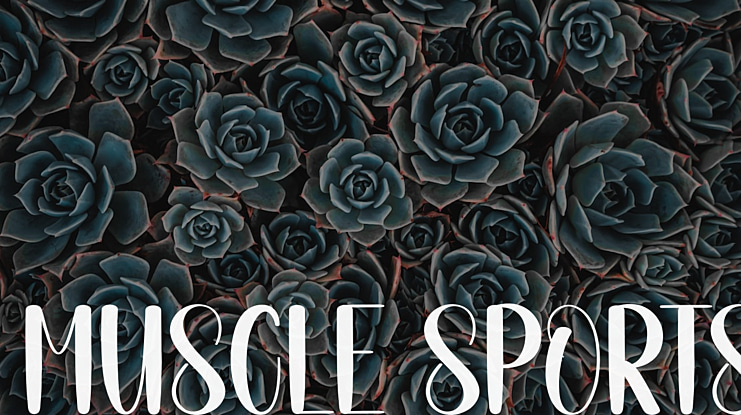 Muscle Sports Font