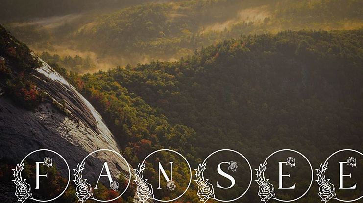 FANSEE Font