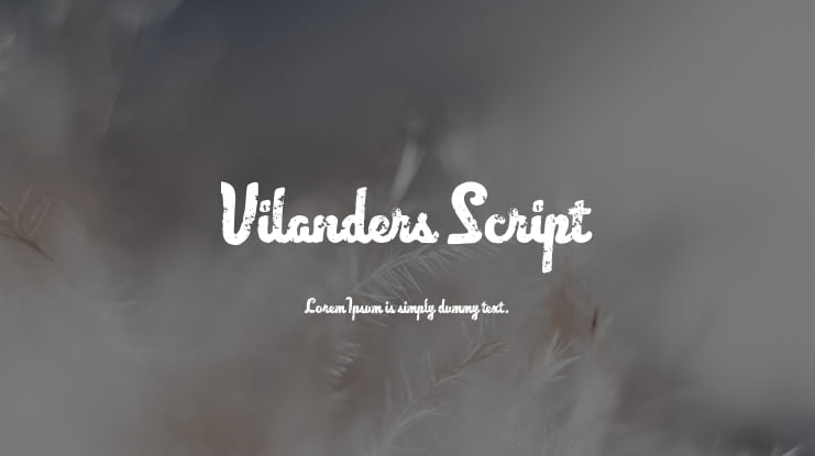 Vilanders Script Font