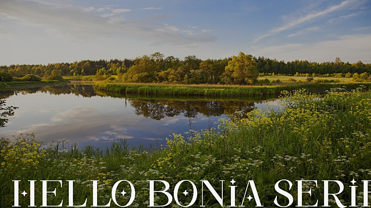 Hello Bonia Serif Font Family