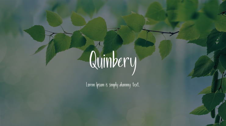 Quinbery Font