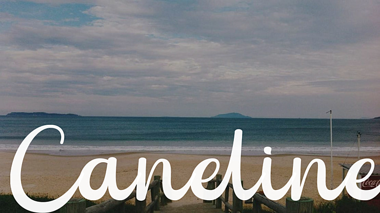 Caneline Font