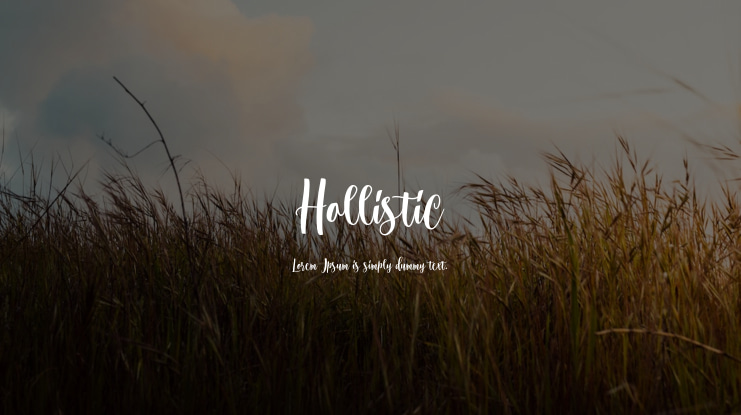 Hollistic Font