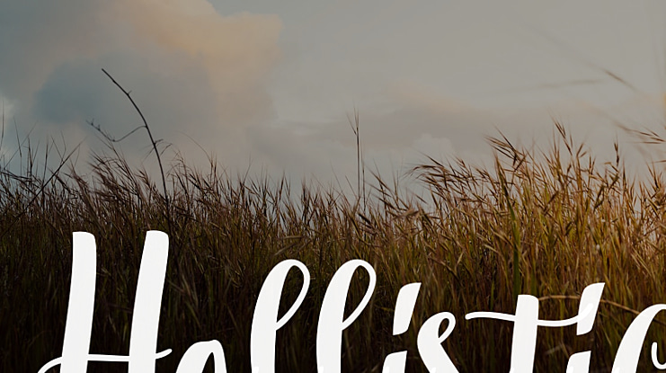 Hollistic Font