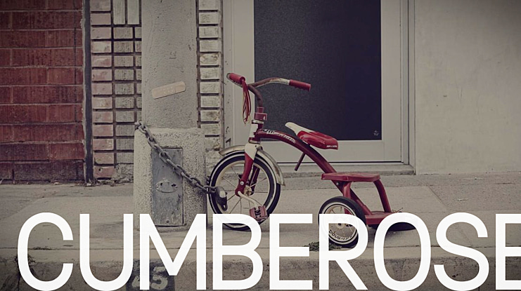 Cumberose Font Family