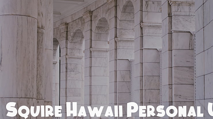 Squire Hawaii Personal Use Only Font