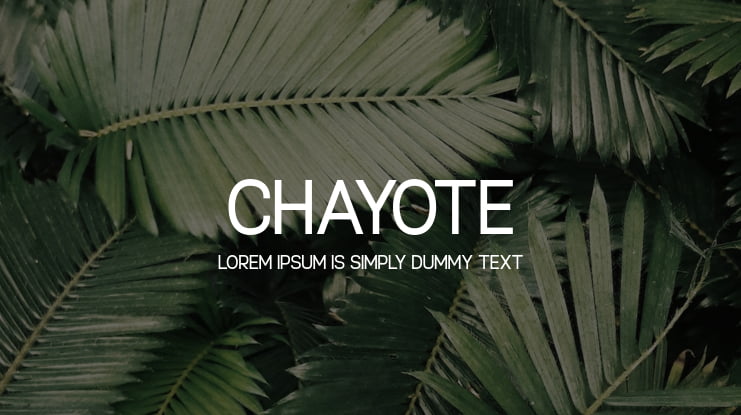 Chayote Font Family