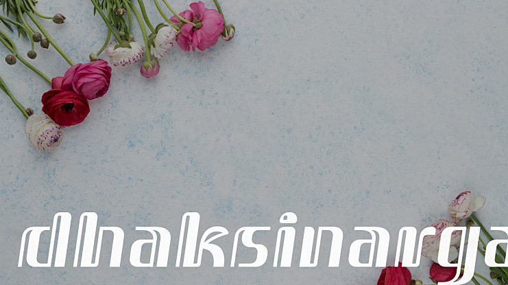 Dhaksinarga Font Family