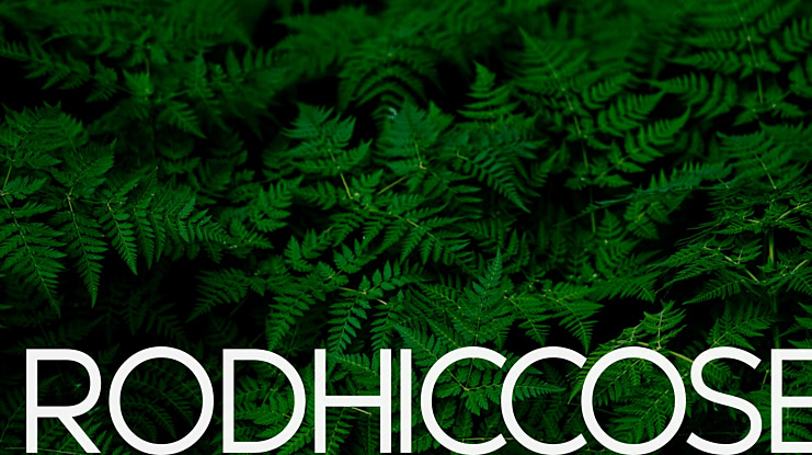 Rodhiccose Font Family