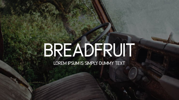 Breadfruit Font Family
