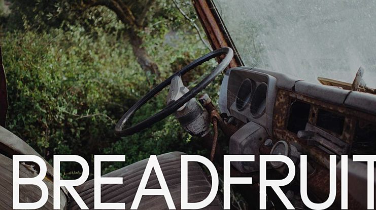 Breadfruit Font Family