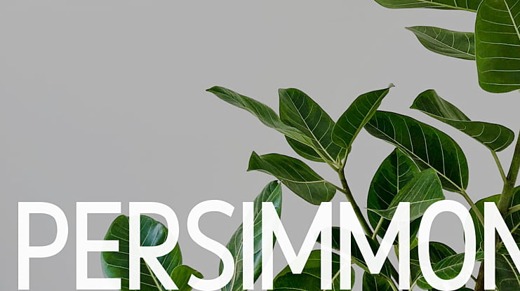 Persimmon Font Family