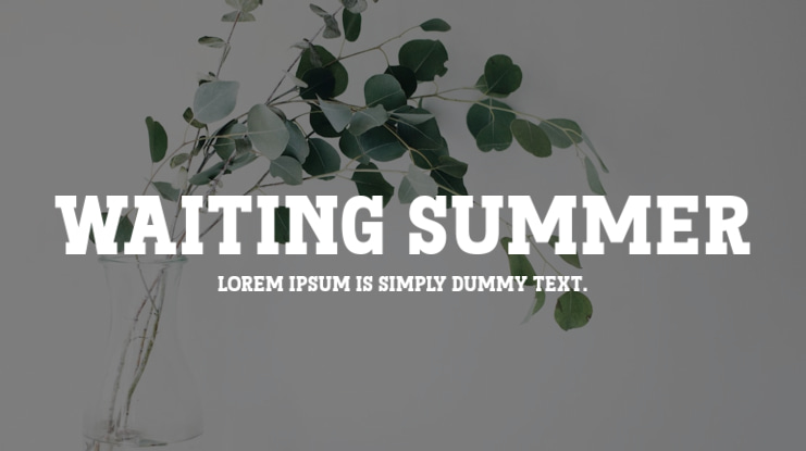 Waiting Summer Font Family