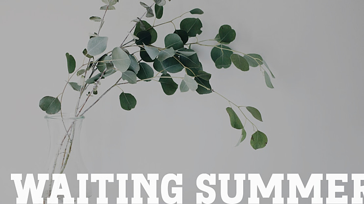 Waiting Summer Font Family