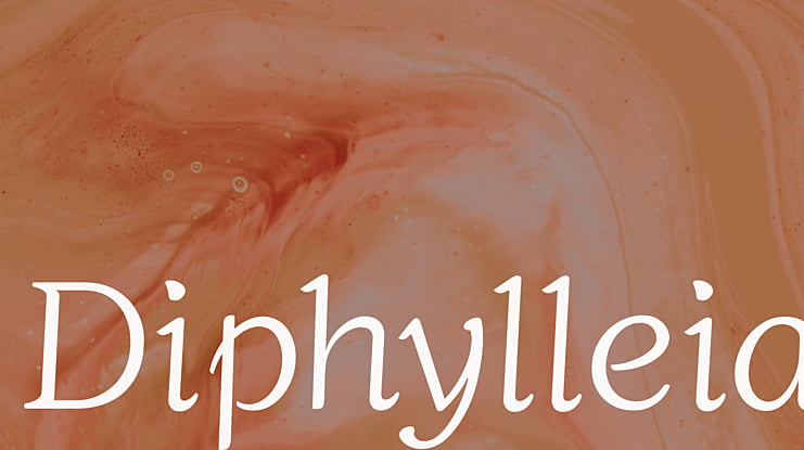Diphylleia Font