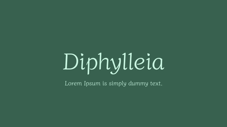 Diphylleia Font