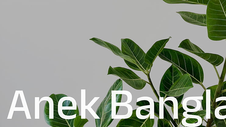 Anek Bangla Font