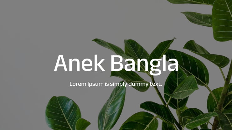 Anek Bangla Font
