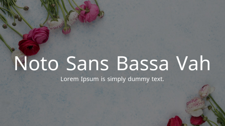 Noto Sans Bassa Vah Font