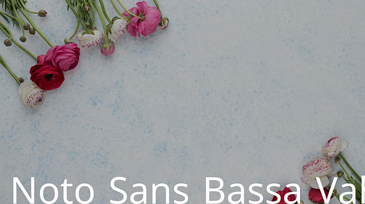 Noto Sans Bassa Vah Font