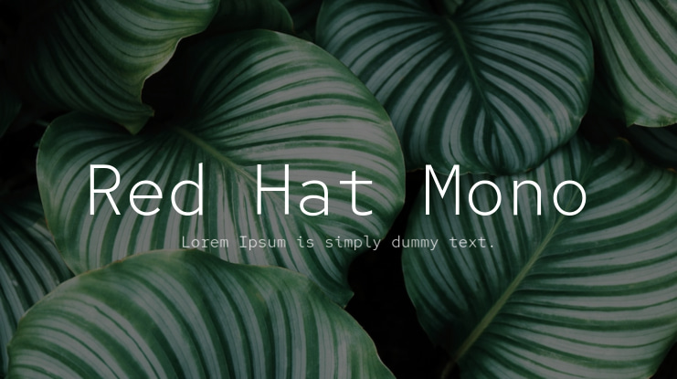Red Hat Mono Font Family