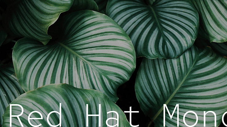 Red Hat Mono Font Family
