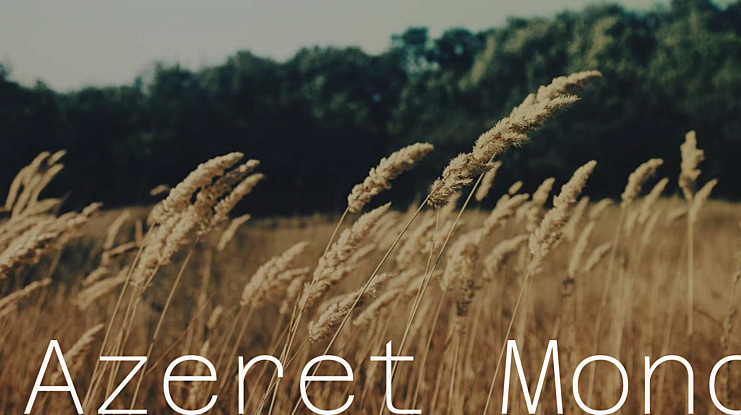 Azeret Mono Font Family