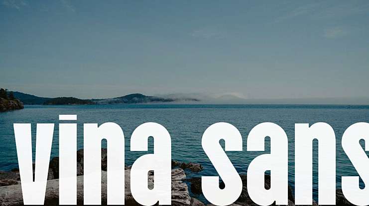 Vina Sans Font