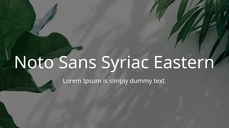 Noto Sans Syriac Eastern Font