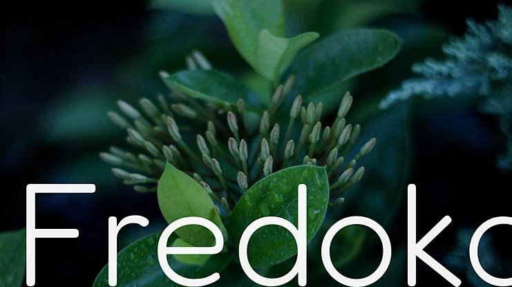 Fredoka Font