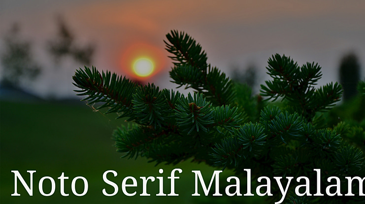 Noto Serif Malayalam Font