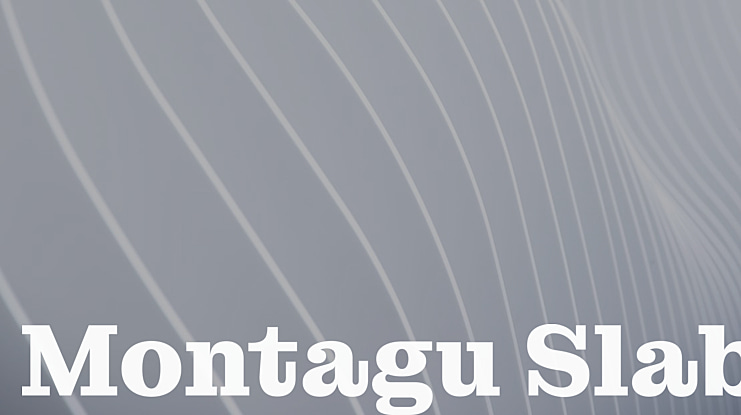 Montagu Slab Font
