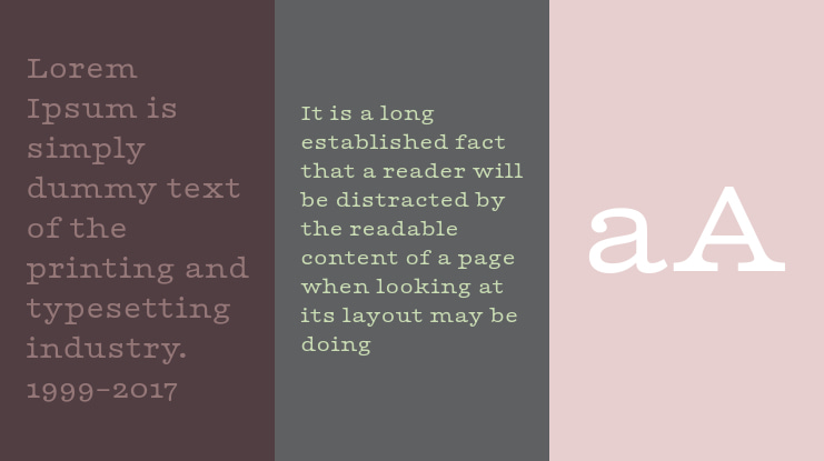 Playfair Font Family