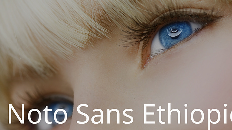 Noto Sans Ethiopic Font