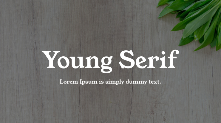 Young Serif Font