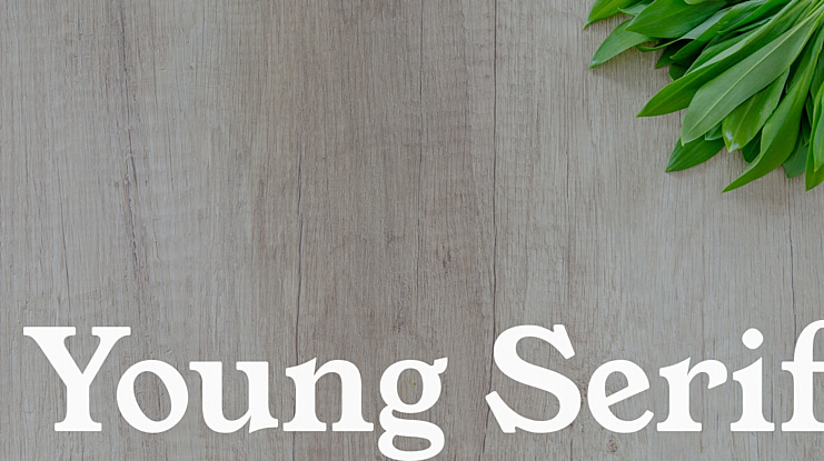 Young Serif Font