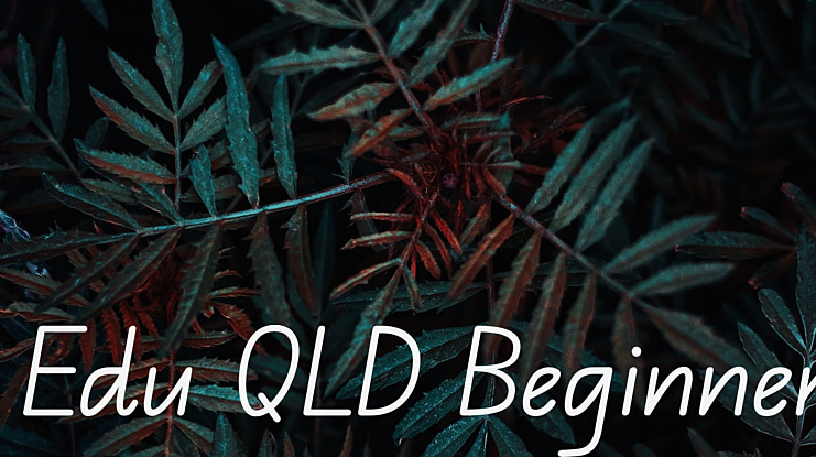 Edu QLD Beginner Font