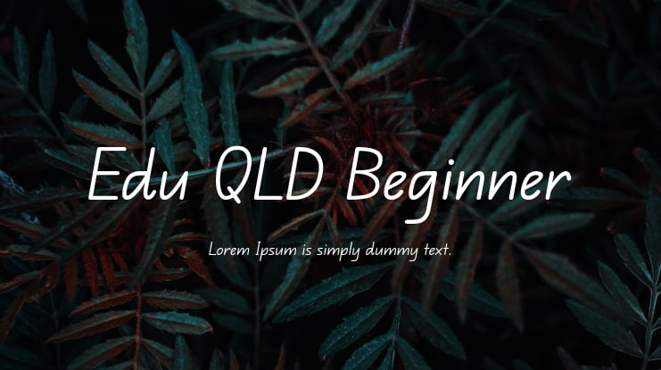 Edu QLD Beginner Font