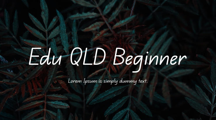 Edu QLD Beginner Font
