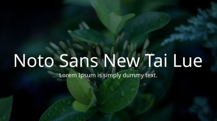 Noto Sans New Tai Lue Font
