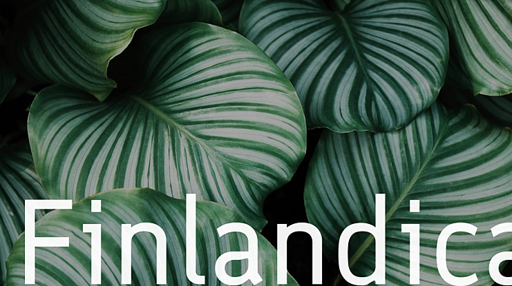 Finlandica Font Family