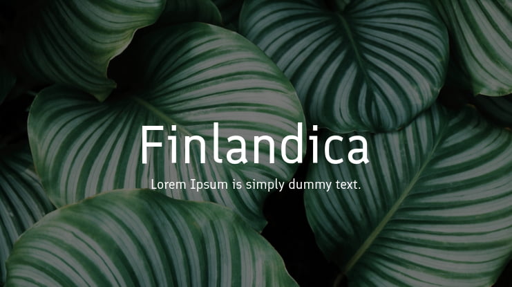 Finlandica Font Family