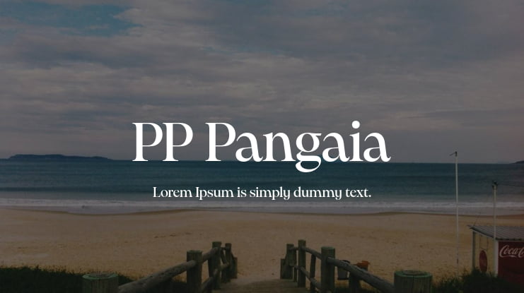 PP Pangaia Font Family