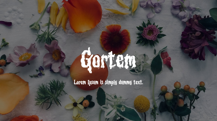 Gortem Font