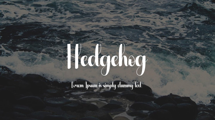 Hedgehog Font