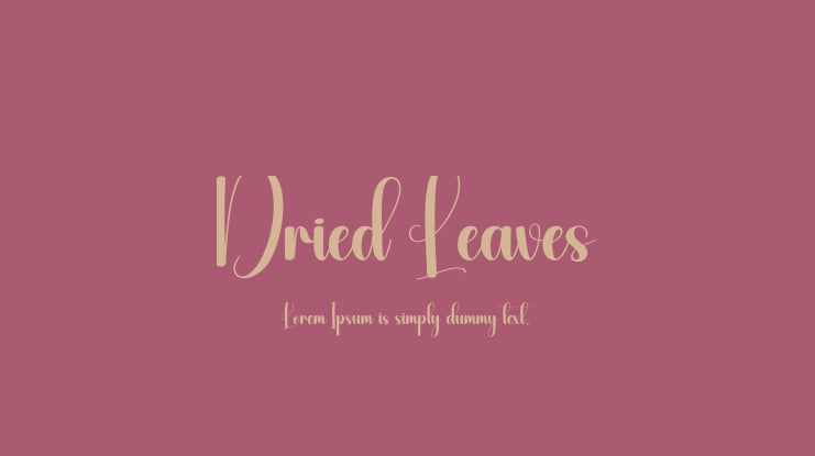 Dried Leaves Font