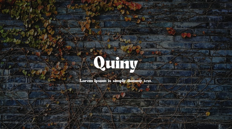 Quiny Font
